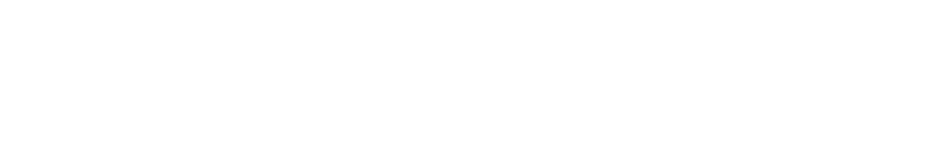 Dodo Bakes